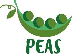 Logo de Capacity Building